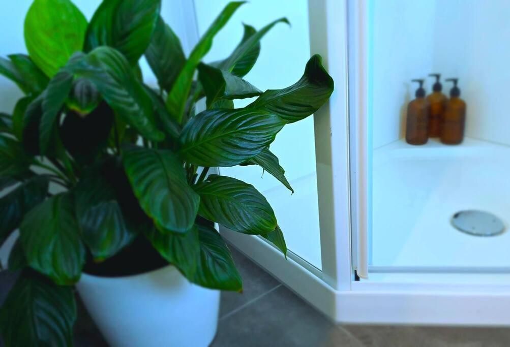 Apartment 2 - Haddin Court - Stunning Executive 블레넘 외부 사진